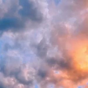 Meet your Posher, Maddy